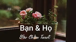 Mối Quan Hệ Ngắt Kết Nối 