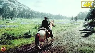 Relaxing Horse Ride in Red Dead Redemption 2 | Relaxing Video Game Ambience & Music
