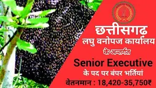 छत्तीसगढ़ लघु वनोपज कार्यालय भर्ती 2021