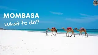 Top 5 Must Do's In Mombasa, Kenya! A Quick Travel Guide
