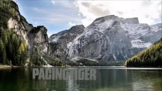 Pacing Tiger - Peace