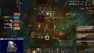 +24 Theater of Pain - PROT WARRIOR POV | NerfTankTV