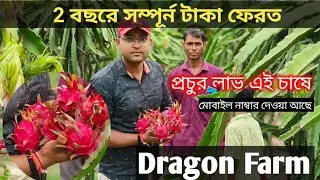 পশ্চিমবঙ্গে ড্রাগন ফলের চাষ ২০২২ | Dragon fruit Farming In West Bengal | source counting