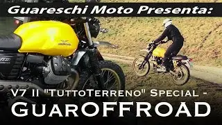 Moto Guzzi V7 II 