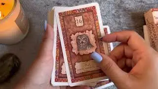 Shaman Wisdom Cards / Flip Through
