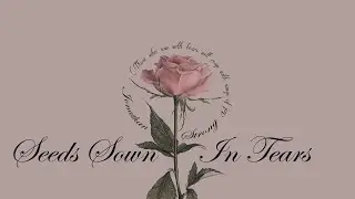 【Reflect Love Back】「Seeds Sown In Tears」LIVE COVER || BY: JONATHAN STRONG