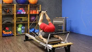Short Spine