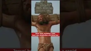 The DEATH of JESUS explained - The GOOD FRIDAY - jesus easter - death #cross history #christian