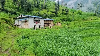  Real Nepali mountain Village Life During the All Rainsll The incredible Story of Nepal s Last Nomaf