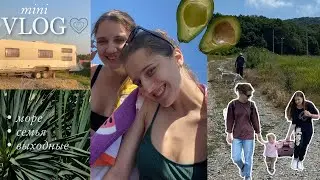 мини-влог - природа, море, семья
