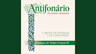 Entrada do 33º Domingo do Tempo Comum - Diz o Senhor, meus pensamentos são de paz