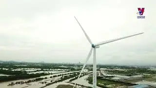 Eco IPs vital to achieving net zero emission target by 2050