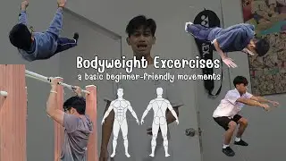 Bodyweight Exercises : a basic beginner-friendly movements.