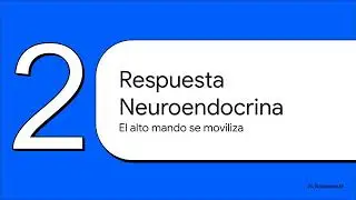 Fisiología Quirúrgica