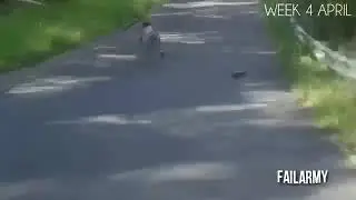 TeamNicholas falls off his skateboard