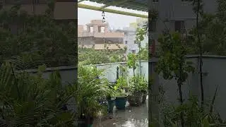 Cyclone Montha effect In Andhra Pradesh With Heavy Rainfall & Winds Up To 100 km/hr #monthacyclone