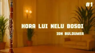 Hora lui Nelu Bosoi - Ion Buldumea - Lecția #1 - Clarinet Studio