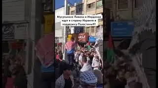 Шествие в поддержку Палестины #палестина #израиль #palestine #israel