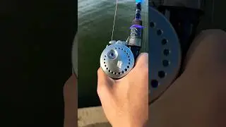 🔥SLOWMO LOONGZE DC AIRLITE CASTING!!! #shorts #bfsfishing #baitfinessesystem #loongze #bassfishing