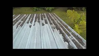 Leafblowing in the wind - Cleaning Up after Pele
