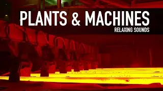 🏭🤖🎤 Plants & Machines - Soothing Sounds relaxation meditation calm quite - relaxing white noise