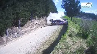 101 Ashley Forest RallySprints in 90 seconds