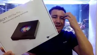 completando equipo básico para tu pecera marina