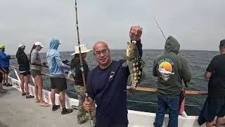 Half Day Fishing on the Dolphin San Diego Ca