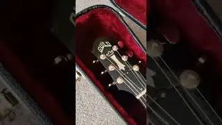 Guild Dv52 vs Guild D40 Triditional
