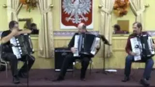 Polish American Accordion Concert Chicago 11 23 2014