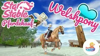 Ponys sind langsam - StarStablePferdekauf - MalibuStacy
