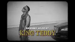 Rawmny Wildcat - King Teddy Feat. Madingo Afework
