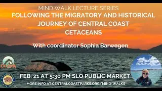 Sophia Barwegen -Mind Walk Presentation