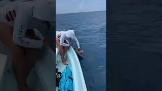 Slow pich jiggin deep brop jiggin on the misty grouper #fishing