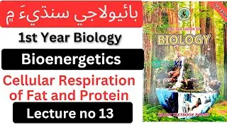 First year Biology in Sindhi||Cellular Respiration of Fat and Protein|| Bioenergetics||#biology11