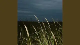 a summer to remember