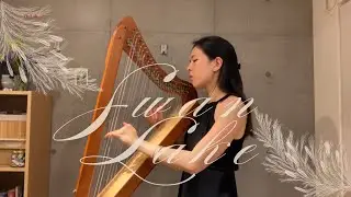 Swan Lake Medley on Lever Harp | Tchaikovsky's Classic on a 26-string Harpsicle Harp
