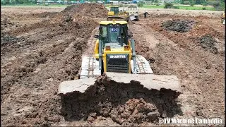 គ្រឿងចក្រថ្មីៗរុញដី The Best Family Shantui Dozer Spreading Dirt | Dozer Rolling Sticky Clay