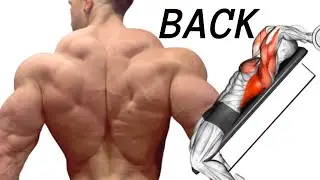 5 BEST LAT MIDDLE BACK AND TRAPS WORKOUT AT GYM / MUSCULATION DU DOS