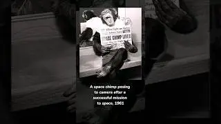 5 must-see rare photos from history #photography #history #rare #photos #shorts