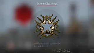 Finally 2019 Service Medal! CS:GO