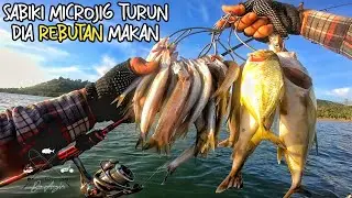 UMPAN JITU‼️ Sabiki Paling Dicari, Strike Nonstop di Pinggiran