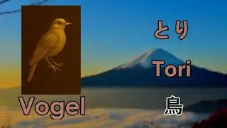 Learn Japanese words / Leer Japanse woorden : Groep J: Meer dieren Group J: Meer dieren