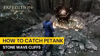 HOW TO CATCH AND FIGHT PETANK | STONE WAVE CLIFFS
