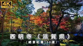 Autumn Leaves in Japan (Saimyoji Temple @ Shiga) ＊息をのむ美しい紅葉＊西明寺（滋賀県） 絶景紅葉100選