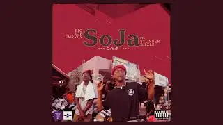 Big Joe Emrycs - SOJA (Cover)_Visualizer Ft Stunner Bizzle