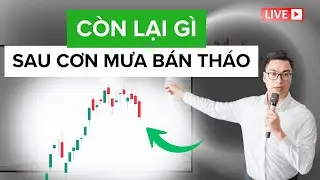 CÒN LẠI GÌ SAU CƠN MƯA BÁN THÁO | Tú Lê