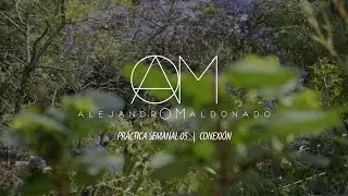 Alejandro Maldonado - Pr&aacute;ctica Semanal 05