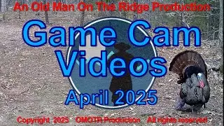 Game Camera Videos - April 2025