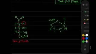 HSC Cell Chemistry for EV || Carbohydrate: Ring Structure of Ribose & Deoxyribose